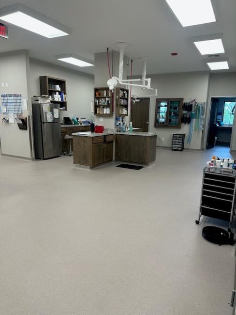 Justin Animal Hospital Virtual Tour