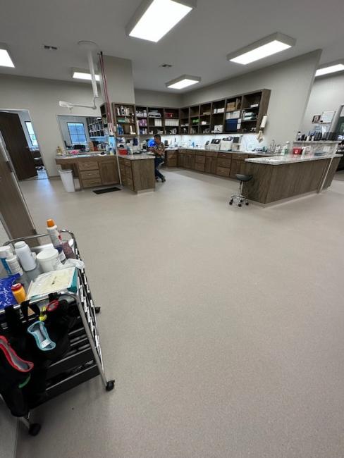 Justin Animal Hospital Virtual Tour